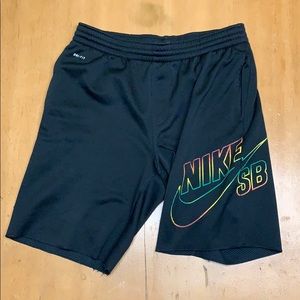 Nike SB Dru-Fit Shorts